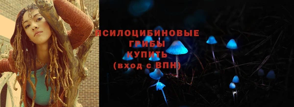 первитин Каменка