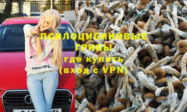 таблы Каменногорск