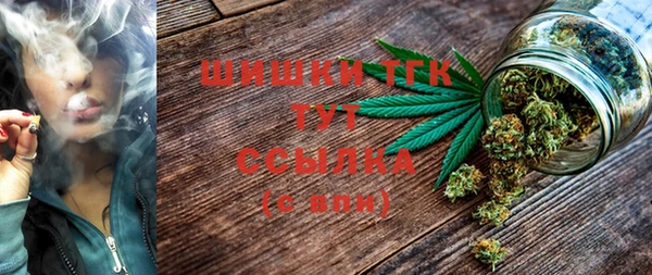 первитин Каменка