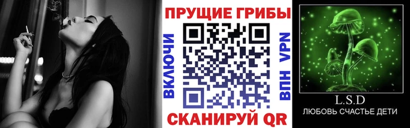 Псилоцибиновые грибы Magic Shrooms  Купить где  Нижний Новгород 